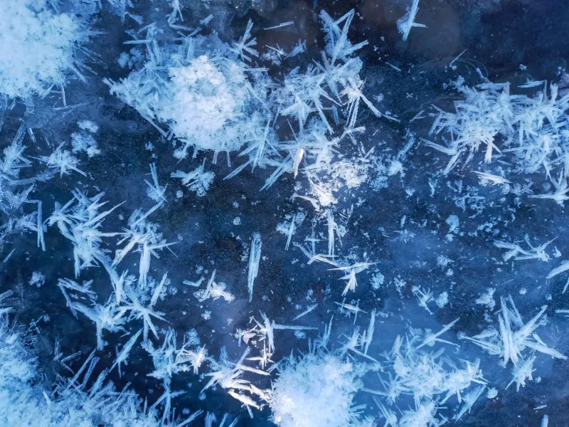 Why You Get Sick Every Winter—And Why the Season Itself Is Partly Responsible